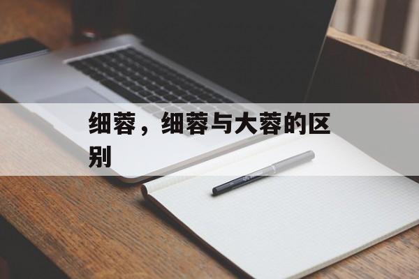 细蓉，细蓉与大蓉的区别-第1张图片-