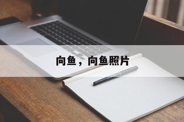 向鱼，向鱼照片-第1张图片-