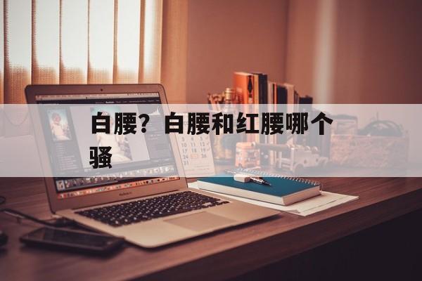 白腰？白腰和红腰哪个骚-第1张图片-