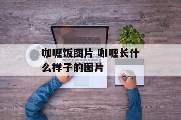 咖喱饭图片 咖喱长什么样子的图片-第1张图片-