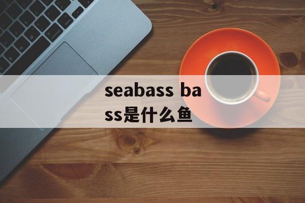 seabass bass是什么鱼-第1张图片-