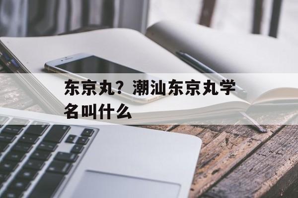 东京丸？潮汕东京丸学名叫什么-第1张图片-