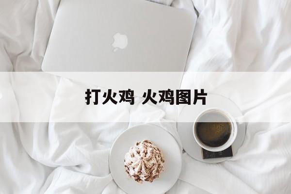打火鸡 火鸡图片-第1张图片-