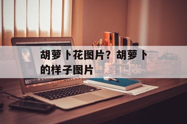 胡萝卜花图片？胡萝卜的样子图片-第1张图片-