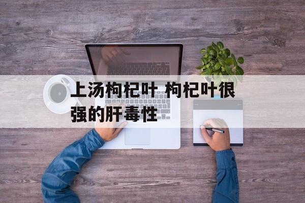 上汤枸杞叶 枸杞叶很强的肝毒性-第1张图片-