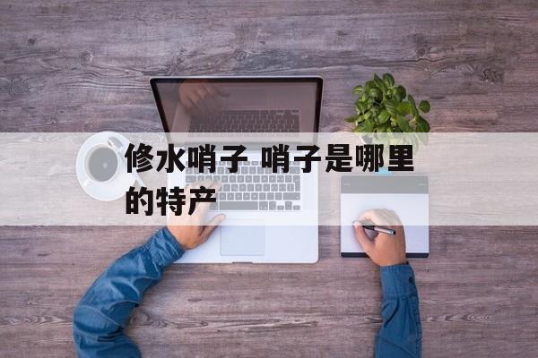 修水哨子 哨子是哪里的特产-第1张图片-