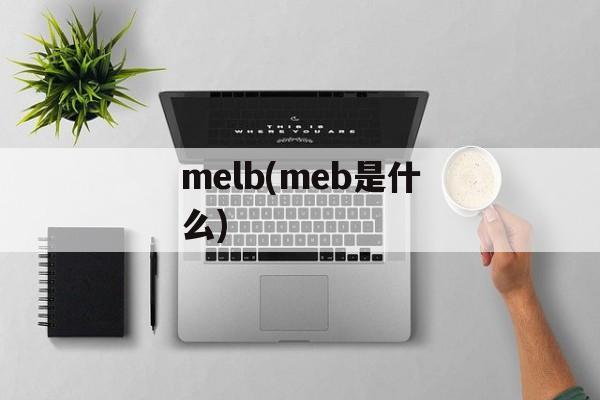 melb(meb是什么)-第1张图片-