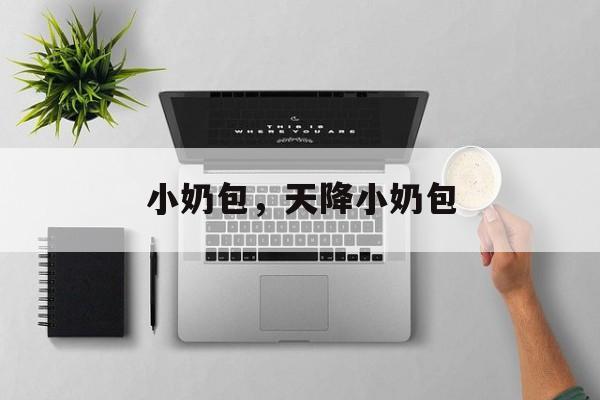 小奶包，天降小奶包-第1张图片-