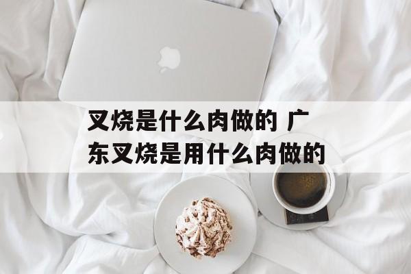 叉烧是什么肉做的 广东叉烧是用什么肉做的-第1张图片-