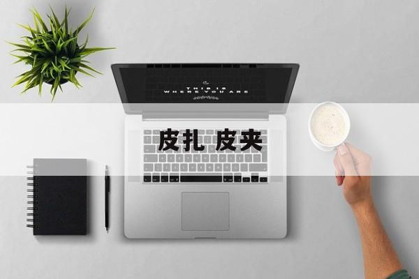 皮扎 皮夹-第1张图片-