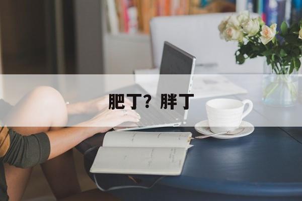 肥丁？胖丁-第1张图片-