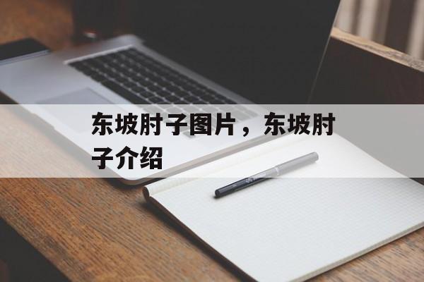 东坡肘子图片，东坡肘子介绍-第1张图片-