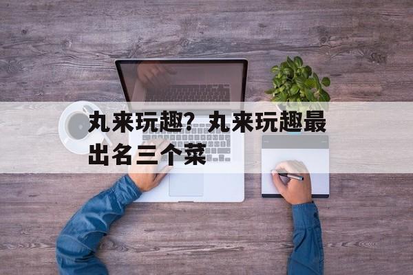 丸来玩趣？丸来玩趣最出名三个菜-第1张图片-