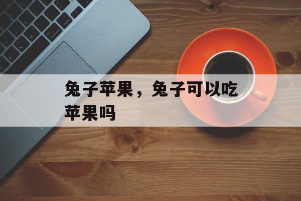 兔子苹果，兔子可以吃苹果吗-第1张图片-