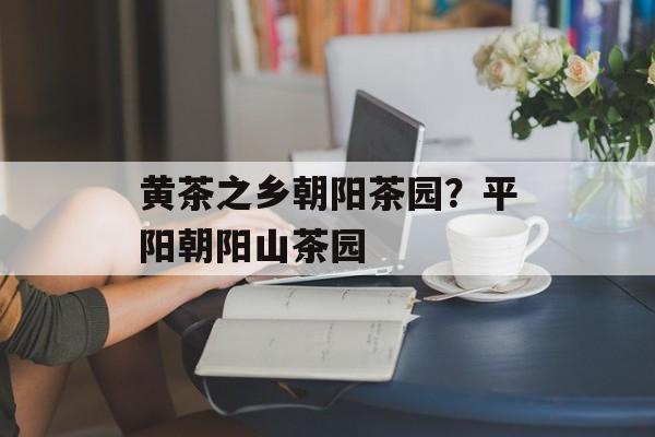 黄茶之乡朝阳茶园？平阳朝阳山茶园-第1张图片-