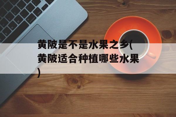 黄陂是不是水果之乡(黄陂适合种植哪些水果)-第1张图片-