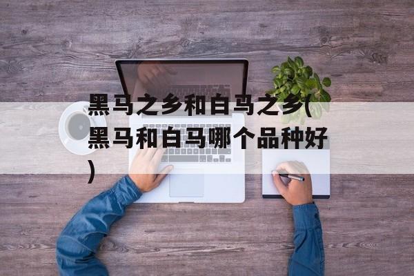 黑马之乡和白马之乡(黑马和白马哪个品种好)-第1张图片-