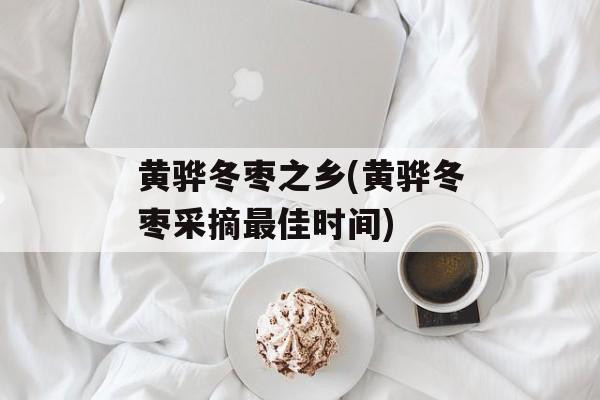 黄骅冬枣之乡(黄骅冬枣采摘最佳时间)-第1张图片-