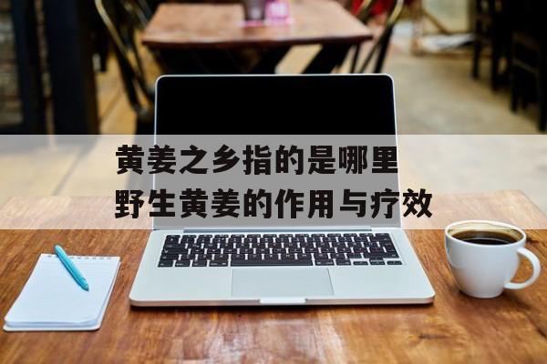 黄姜之乡指的是哪里 野生黄姜的作用与疗效-第1张图片-