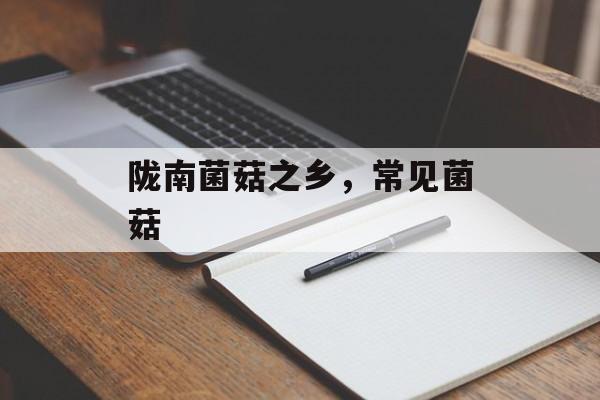 陇南菌菇之乡，常见菌菇-第1张图片-