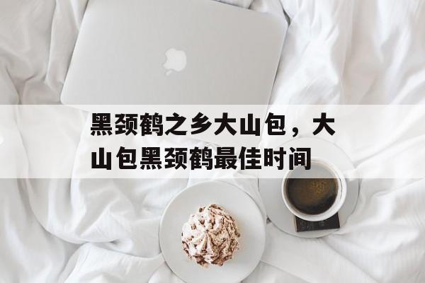 黑颈鹤之乡大山包，大山包黑颈鹤最佳时间-第1张图片-
