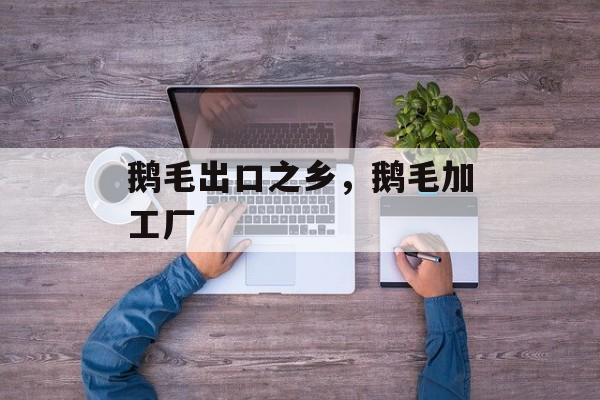 鹅毛出口之乡，鹅毛加工厂-第1张图片-