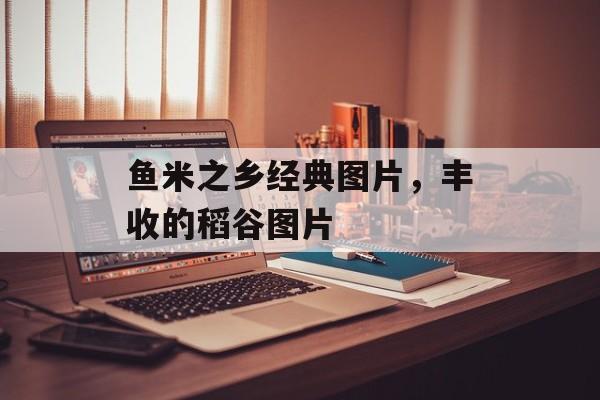 鱼米之乡经典图片，丰收的稻谷图片-第1张图片-