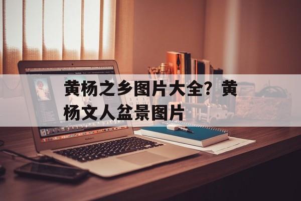 黄杨之乡图片大全？黄杨文人盆景图片-第1张图片-