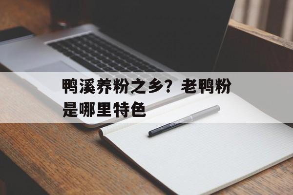 鸭溪养粉之乡？老鸭粉是哪里特色-第1张图片-