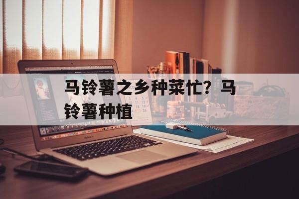 马铃薯之乡种菜忙？马铃薯种植-第1张图片-