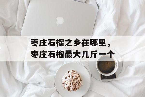 枣庄石榴之乡在哪里，枣庄石榴最大几斤一个-第1张图片-
