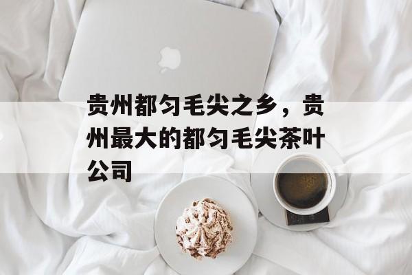 贵州都匀毛尖之乡，贵州最大的都匀毛尖茶叶公司-第1张图片-