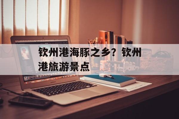 钦州港海豚之乡？钦州港旅游景点-第1张图片-