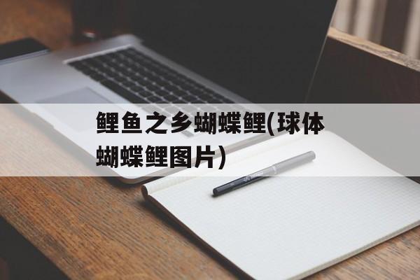 鲤鱼之乡蝴蝶鲤(球体蝴蝶鲤图片)-第1张图片-