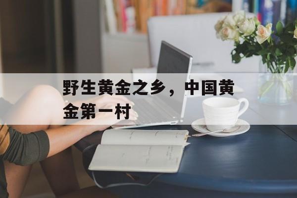 野生黄金之乡，中国黄金第一村-第1张图片-