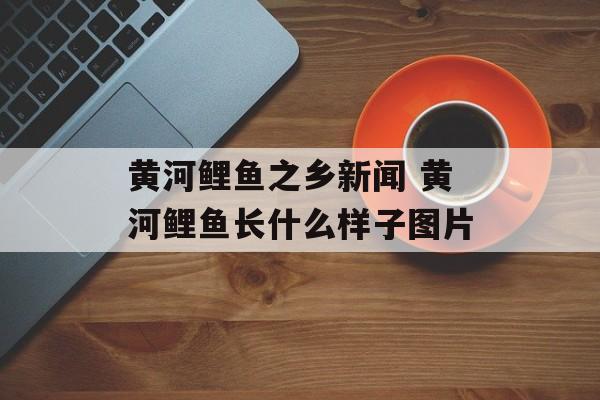 黄河鲤鱼之乡新闻 黄河鲤鱼长什么样子图片-第1张图片-