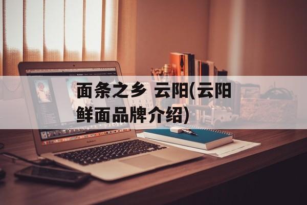 面条之乡 云阳(云阳鲜面品牌介绍)-第1张图片-