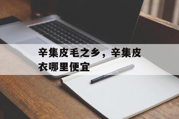辛集皮毛之乡，辛集皮衣哪里便宜-第1张图片-