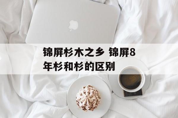 锦屏杉木之乡 锦屏8年杉和杉的区别-第1张图片-