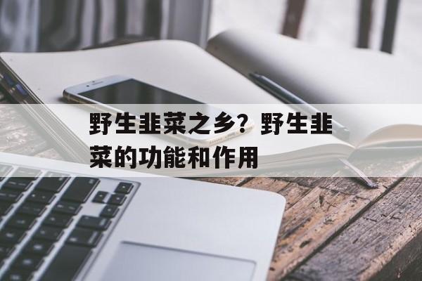 野生韭菜之乡？野生韭菜的功能和作用-第1张图片-