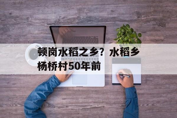 顿岗水稻之乡？水稻乡杨桥村50年前-第1张图片-