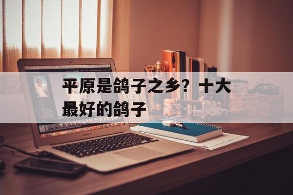 平原是鸽子之乡？十大最好的鸽子-第1张图片-