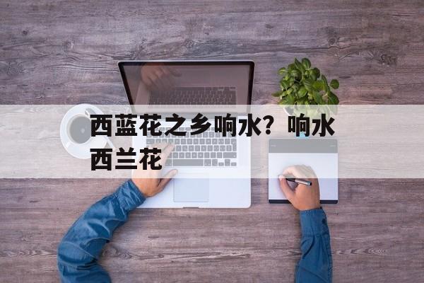 西蓝花之乡响水？响水西兰花-第1张图片-