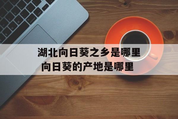 湖北向日葵之乡是哪里 向日葵的产地是哪里-第1张图片-