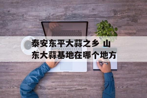 泰安东平大蒜之乡 山东大蒜基地在哪个地方-第1张图片-