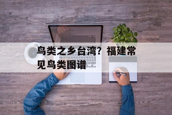 鸟类之乡台湾？福建常见鸟类图谱-第1张图片-