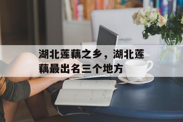 湖北莲藕之乡，湖北莲藕最出名三个地方-第1张图片-