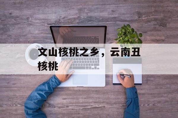 文山核桃之乡，云南丑核桃-第1张图片-