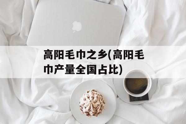 高阳毛巾之乡(高阳毛巾产量全国占比)-第1张图片-