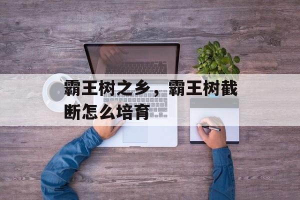 霸王树之乡，霸王树截断怎么培育-第1张图片-